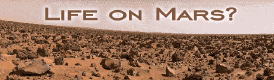 Life On Mars